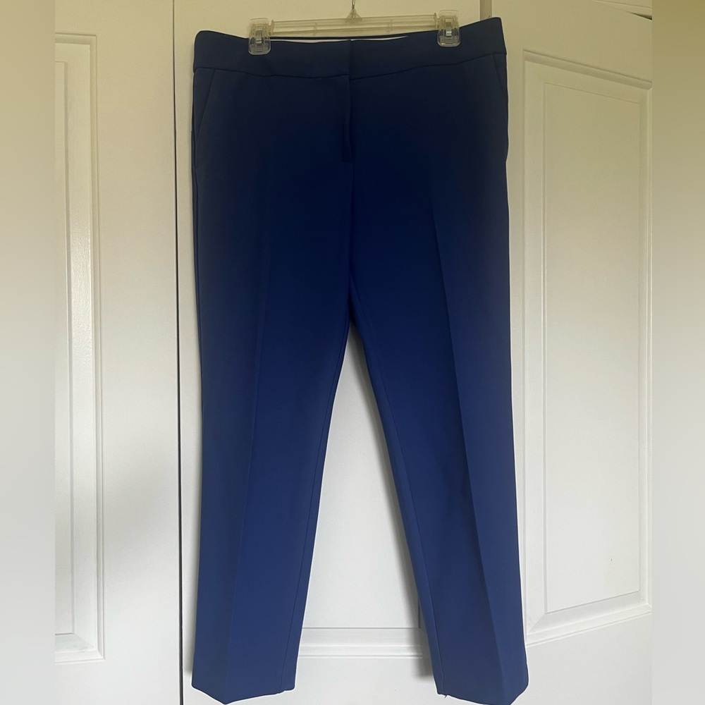 Women's Loft Marisa Royal blue pants size 10.